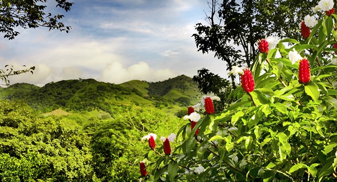 7 formas de viajar a Costa Rica y relajarse 
